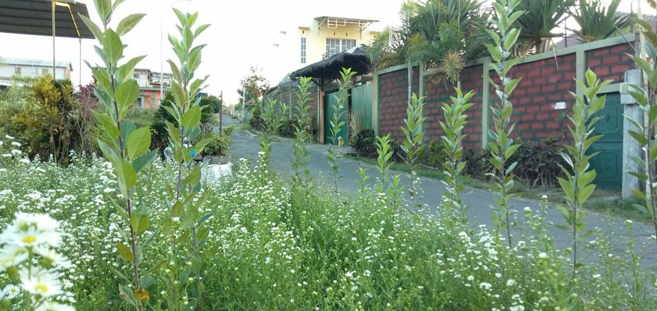 Bliss Family Cottage Batu Бату Екстер'єр фото