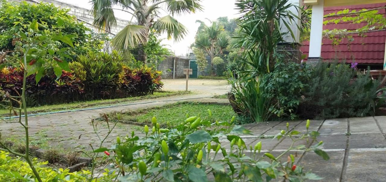Bliss Family Cottage Batu Бату Екстер'єр фото